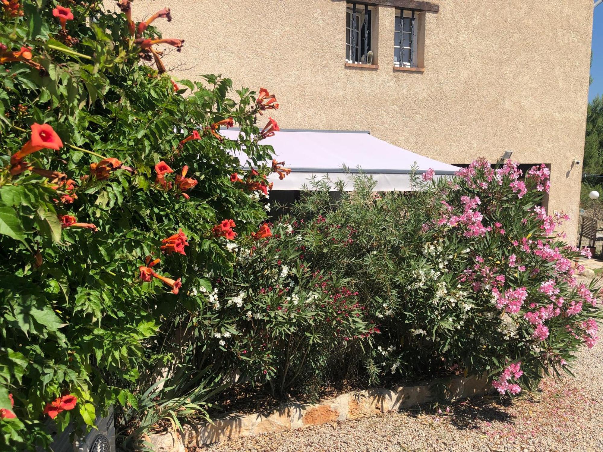 Апартаменти Le Cocon De Provence Фаєнс Екстер'єр фото